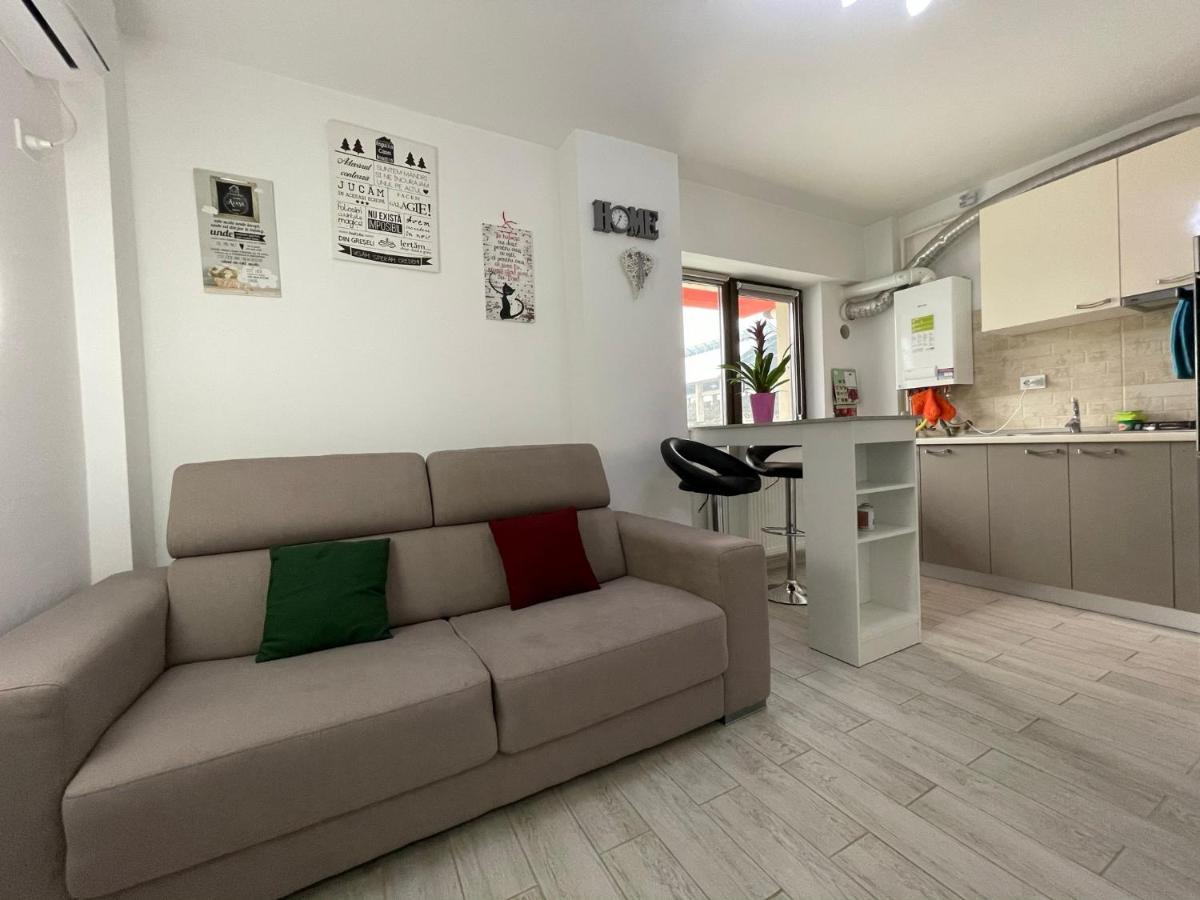 Renting Solutions Iulius Mall Яссы Экстерьер фото